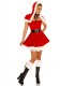 Weihnachtsmann-Petticoat-Kostüm - Bild 1