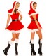 Weihnachtsmann-Petticoat-Kostüm Bild 2