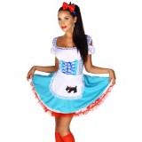 Farbenfrohes Dirndl mit Karomuster