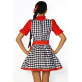 Dirndl rot/weiß