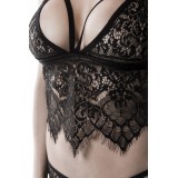 2-teiliges Spitzen-Cami-Set von Grey Velvet 4251302129494