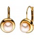 Boutons rund 333 Gold Gelbgold 2 Süßwasser Perlen Ohrringe Ohrhänger Bild1