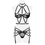 3-teiliges Harness Set von Grey Velvet schwarz - Bild 8