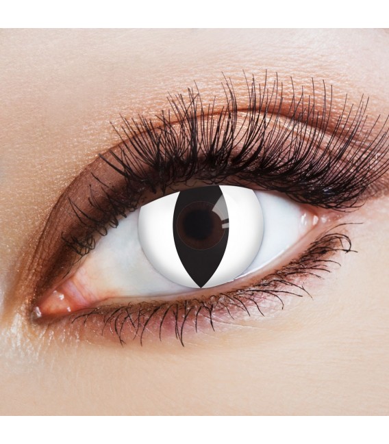 Catwalk - farbige Kontaktlinsen ohne Stärke Bild 1