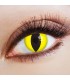 Glowing Cat - farbige Kontaktlinsen ohne Stärke Bild 1