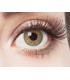 Green Glamour - farbige Kontaktlinsen ohne Stärke Bild 2