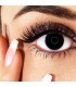 The Dark Eye - farbige Kontaktlinsen ohne Stärke Bild 4