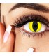 Glowing Cat - farbige Kontaktlinsen ohne Stärke Bild 3